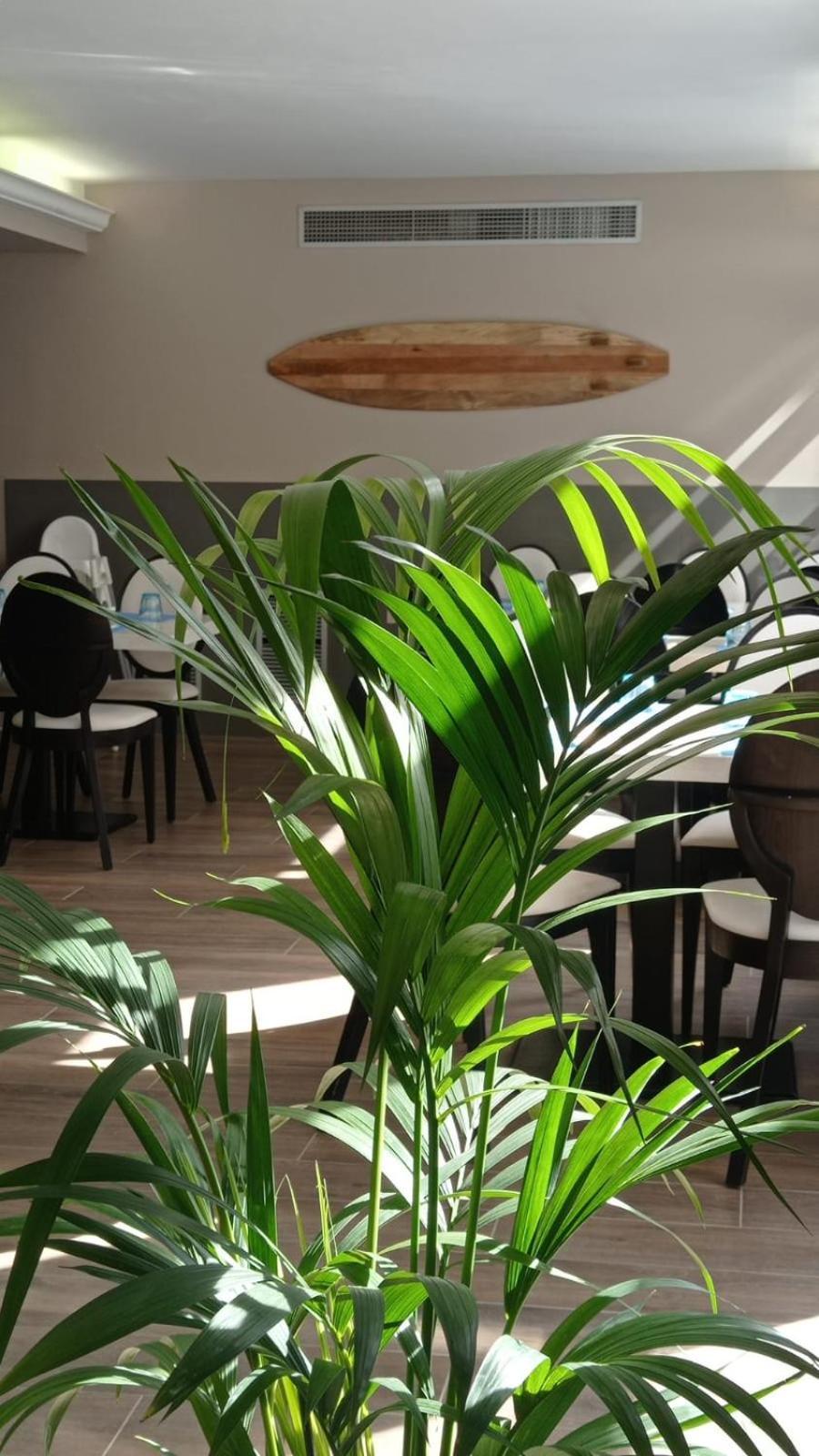 Summer Hotel Калея Екстериор снимка